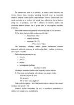 Referāts 'Pozitīvas saskarsmes nozīme bērna attīstībā', 9.