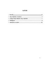 Referāts 'Jēzus biedrības struktūra un brāļu attiecības pēc ordeņa satūtiem', 2.