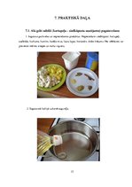 Referāts 'Ēšanas paradumi un tradīcijas Indijā', 23.