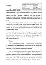 Referāts 'Svins', 1.