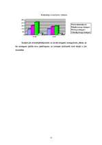 Referāts 'Noziedzības stāvoklis Gulbenes rajonā 2005. - 2007.gadā', 13.