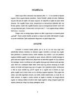 Referāts 'Lilijas', 6.