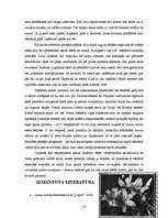 Referāts 'Lilijas', 14.