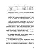 Referāts 'Uzņēmējdarbības attīstības iespējas Saldus novadā', 6.