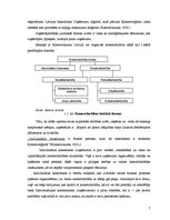Referāts 'Uzņēmējdarbības attīstības iespējas Saldus novadā', 7.