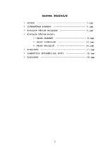 Referāts 'Kalni Nikolaja Rēriha daiļradē', 2.