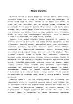 Referāts 'Kalni Nikolaja Rēriha daiļradē', 8.