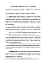 Referāts 'Meža īpašnieka tiesības un pienākumi', 5.