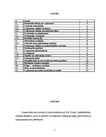 Biznesa plāns 'SIA "Deviņi" izveide', 2.