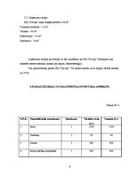 Biznesa plāns 'SIA "Deviņi" izveide', 9.