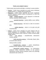 Referāts 'Tiesību normas definitīvās izpratnes, pazīmju klasifikācijas un to analīze', 5.