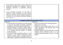 Referāts 'Farmakoloģisko preparātu salīdzinājums', 12.