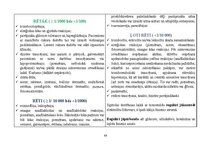 Referāts 'Farmakoloģisko preparātu salīdzinājums', 15.