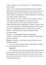 Eseja 'Konflikti, to cēloņi un risināšana', 3.