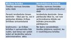 Prezentācija 'Rīcības brīvība, samērīgums un nenoteiktais tiesību jēdziens', 14.