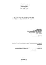 Prakses atskaite 'Ražošanas prakses atskaite', 1.