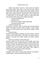 Prakses atskaite 'Ražošanas prakses atskaite', 6.