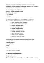 Prakses atskaite 'Ražošanas prakses atskaite', 13.