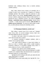 Referāts 'Plašsaziņas līdzekļu loma politikas procesos', 7.