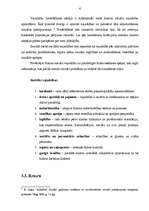 Referāts 'Patversme', 6.