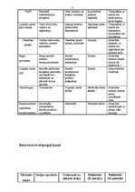 Referāts 'Patversme', 15.