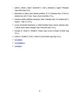 Referāts 'Komercbanku loma finanšu tirgū', 30.