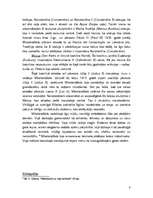 Referāts 'Renesanses māksla un Mikelandželo (1475-1564)', 8.