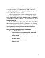 Referāts 'Praktiskais darbs fiziskajā ģeogrāfijā (40 A meridiānu un 40 Z paralēle)', 3.