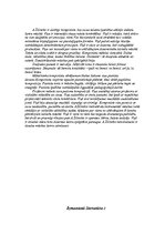 Referāts 'Arvīds Žilinskis', 8.