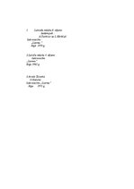 Referāts 'Arvīds Žilinskis', 9.