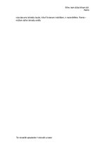 Eseja 'Priekšstats par Raini', 2.