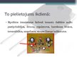 Prezentācija 'Bipolārie tranzistori', 10.