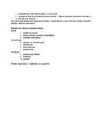 Konspekts 'Lietvedība', 13.