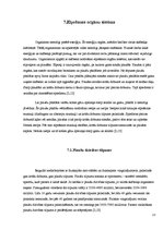 Referāts 'Fizisko aktivitāšu ietekme uz cilvēka organismu', 13.