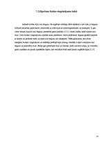 Referāts 'Fizisko aktivitāšu ietekme uz cilvēka organismu', 14.