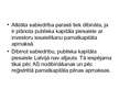 Prezentācija 'Kapitālsabiedrības', 21.