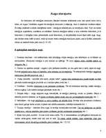 Referāts 'Telpaugu nozīme viesmīlīgas atmosfēras radīšanā', 4.