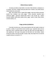 Referāts 'Telpaugu nozīme viesmīlīgas atmosfēras radīšanā', 5.