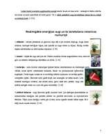 Referāts 'Telpaugu nozīme viesmīlīgas atmosfēras radīšanā', 7.