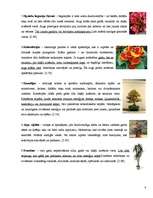 Referāts 'Telpaugu nozīme viesmīlīgas atmosfēras radīšanā', 8.