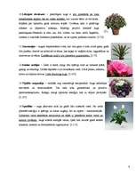 Referāts 'Telpaugu nozīme viesmīlīgas atmosfēras radīšanā', 9.