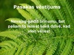 Prezentācija 'Kārlis Skalbe "Papardes zieds"', 6.