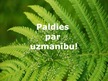 Prezentācija 'Kārlis Skalbe "Papardes zieds"', 8.