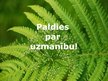 Prezentācija 'Kārlis Skalbe "Papardes zieds"', 9.