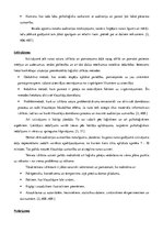 Eseja 'Runas uzbūves raksturojums', 2.