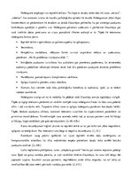 Eseja 'Runas uzbūves raksturojums', 3.