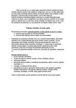 Referāts 'Attīstība', 2.