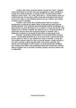 Referāts 'Attīstība', 6.