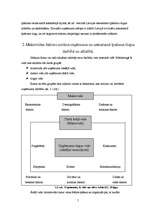 Referāts 'Uzņēmuma mārketinga analīze', 5.