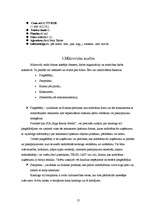 Referāts 'Uzņēmuma mārketinga analīze', 12.